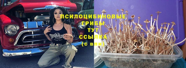 спиды Абинск