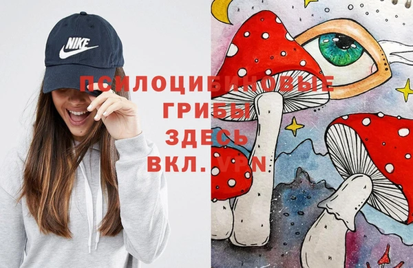 дурь Алексеевка