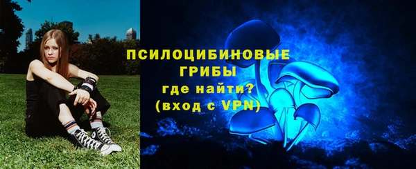 дурь Алексеевка