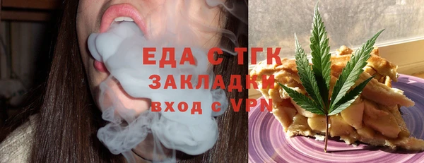 индика Алзамай
