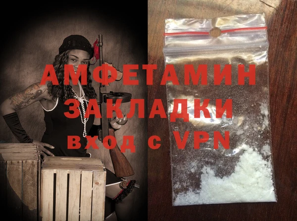 индика Алзамай