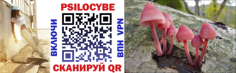Галлюциногенные грибы Magic Shrooms  Касимов 